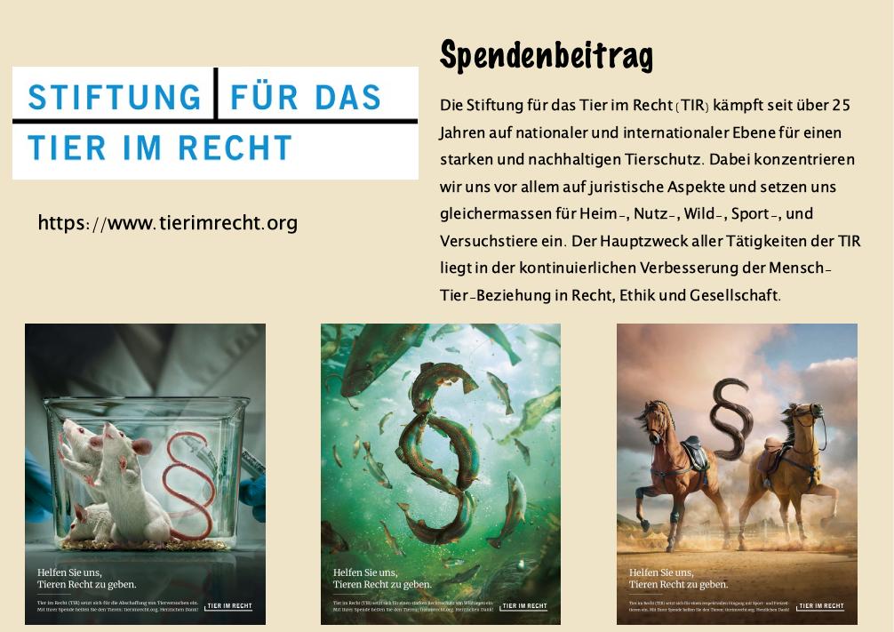 TIR – Integration in meiner Homepage – Vorschlag 2