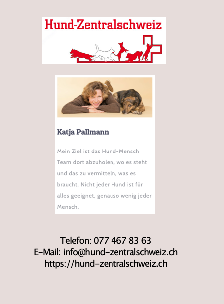 Hund Zentralschweiz